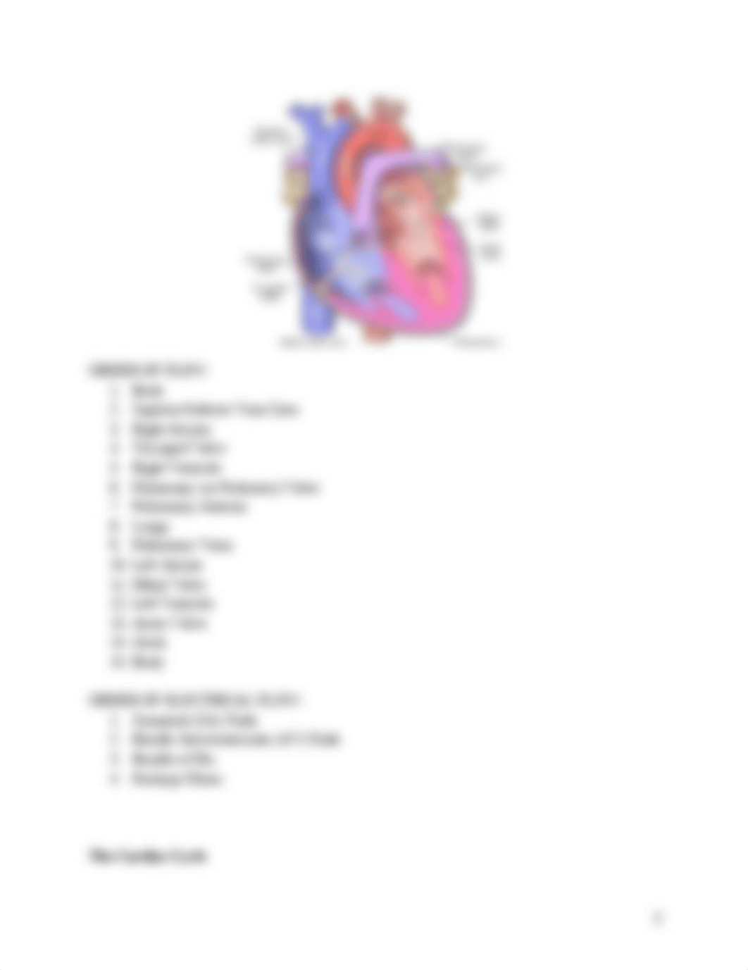 Ch 21 Assessing Heart and Neck Vessels_doyzirj6t41_page2