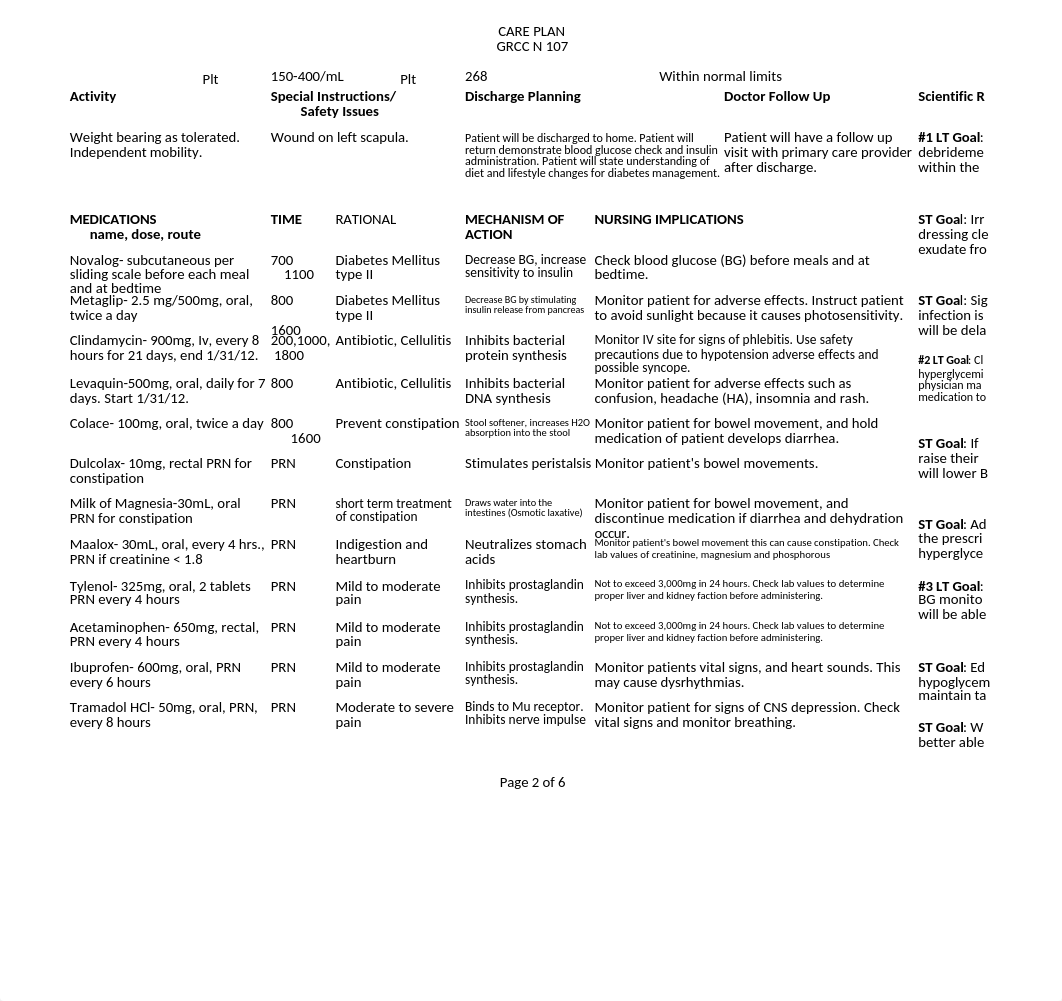 Care Plan L.E..xlsx_doz28p7f8gu_page2