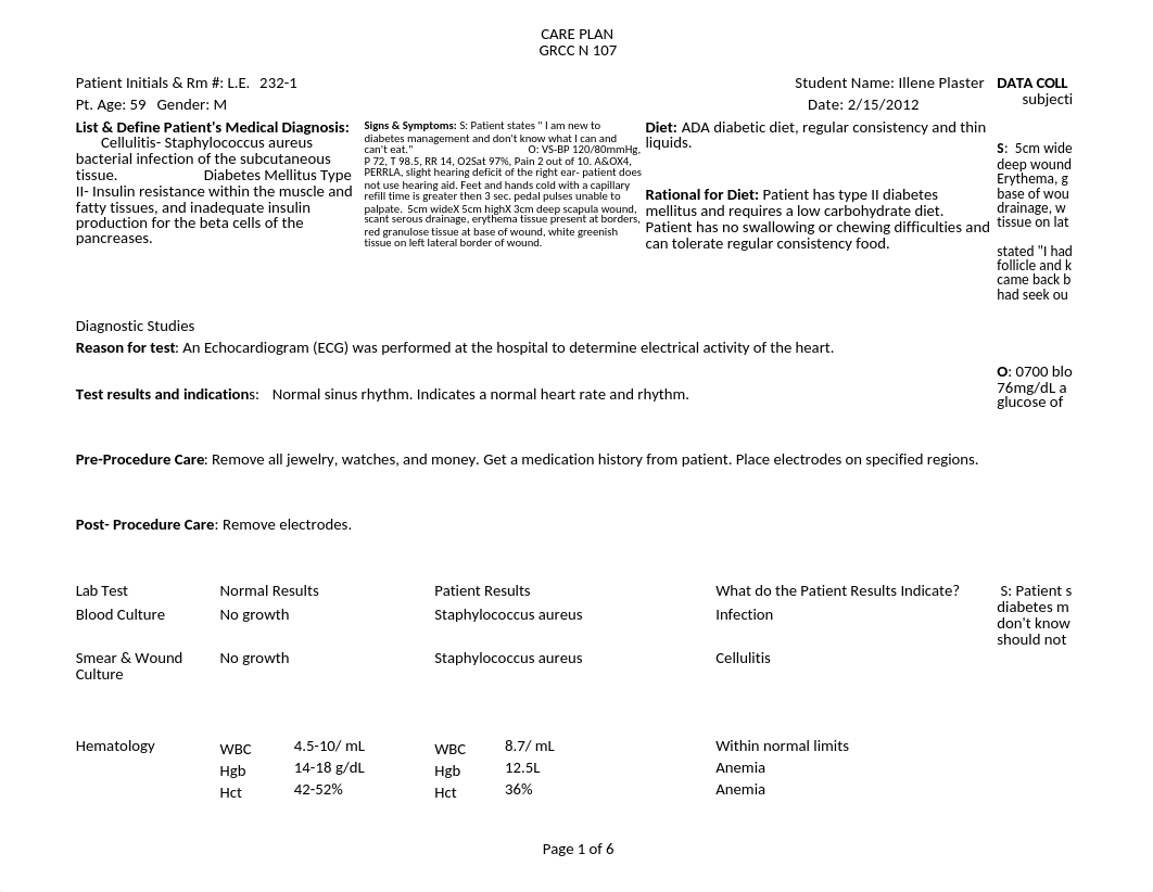 Care Plan L.E..xlsx_doz28p7f8gu_page1