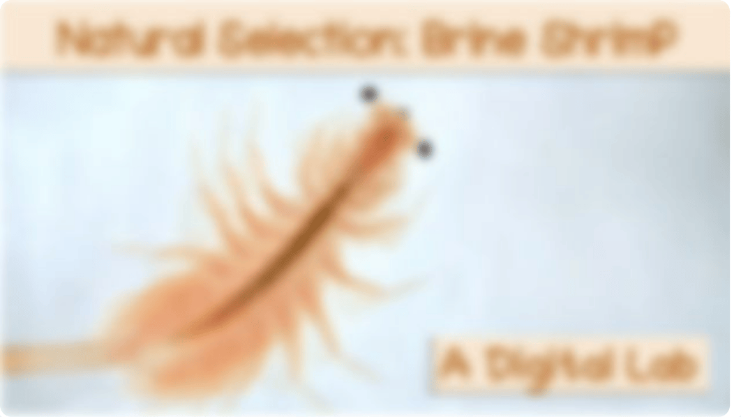 Ishaan Patel Brine Shrimp Virtual Lab.pdf_doz5xjfieae_page1