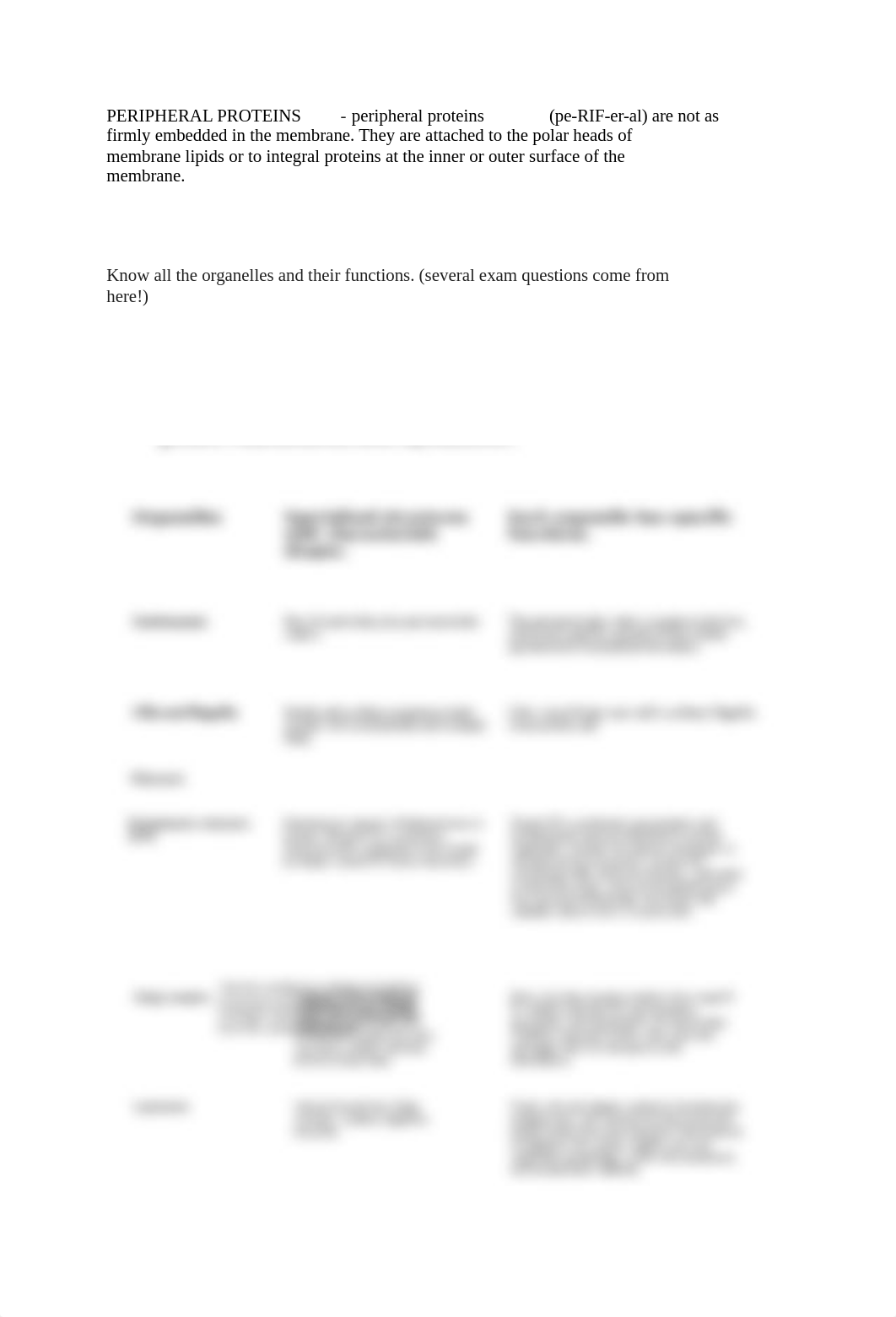 Chapter 3 Study.docx_doze9xs7x69_page3