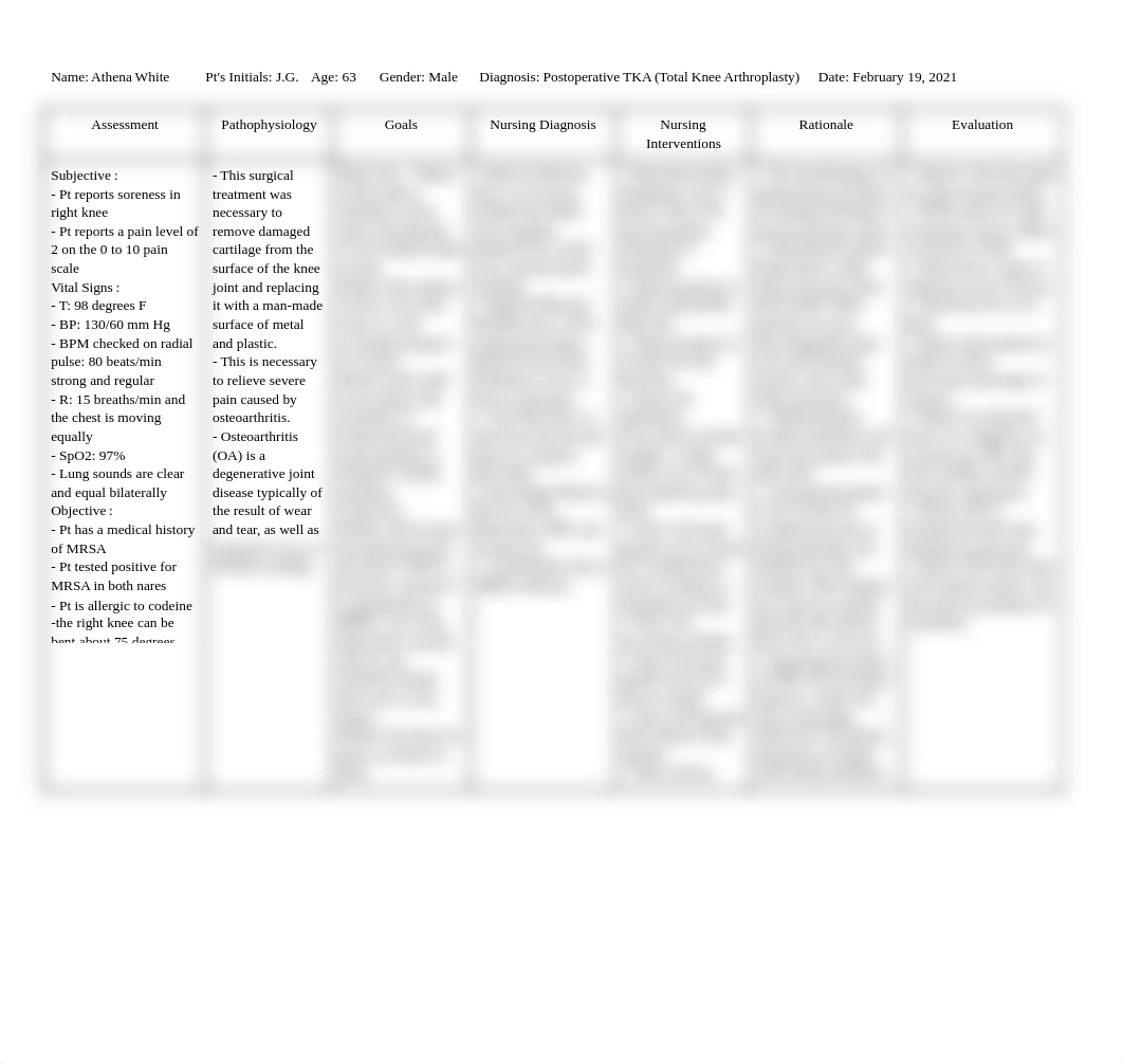 Care Plan Template vSim - J.G..docx_dozjovq1iif_page1