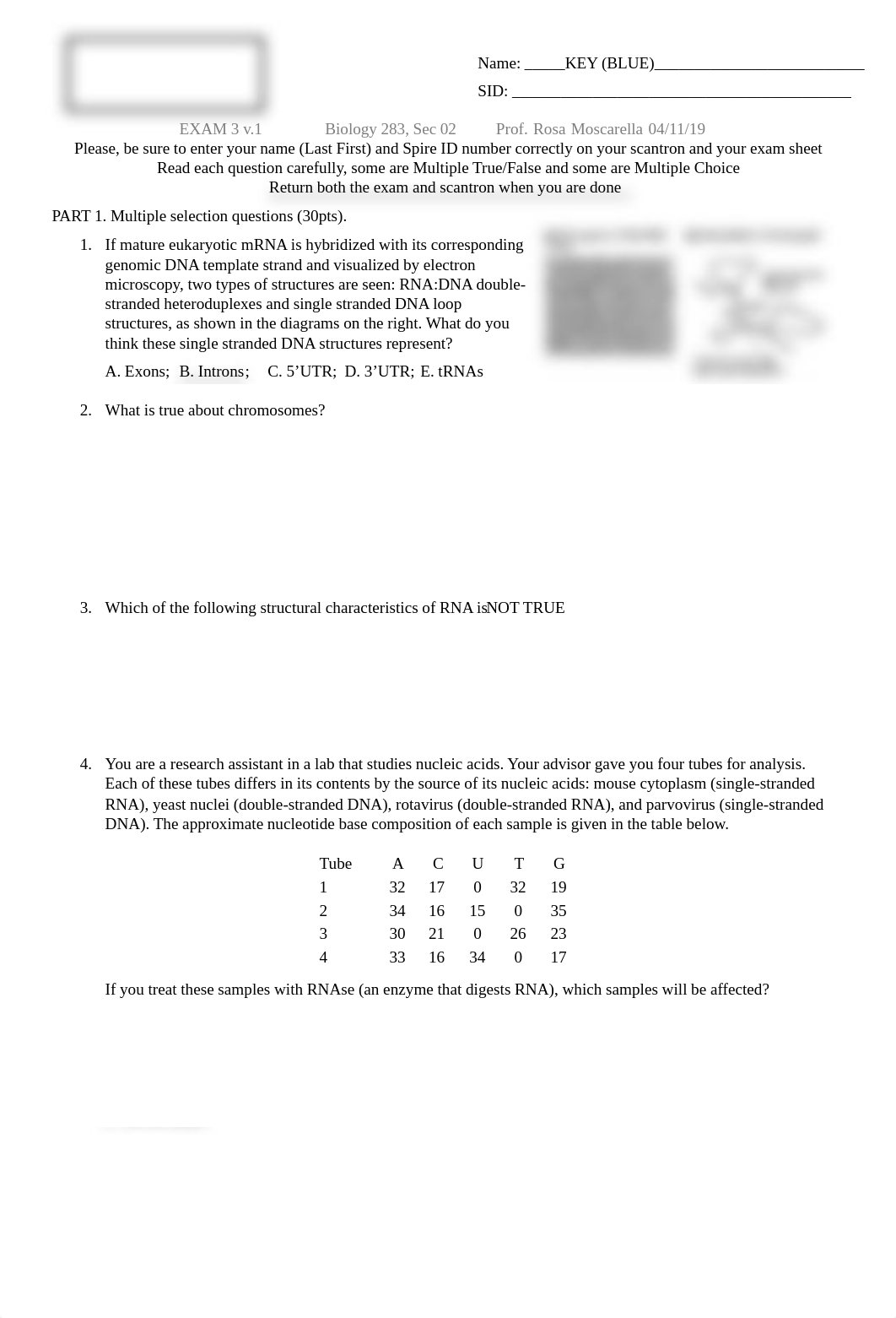 BIO282_MOSCARELLA_Sp19EXAM3V1BLUE_KEY.pdf_dozp4j5lisx_page1