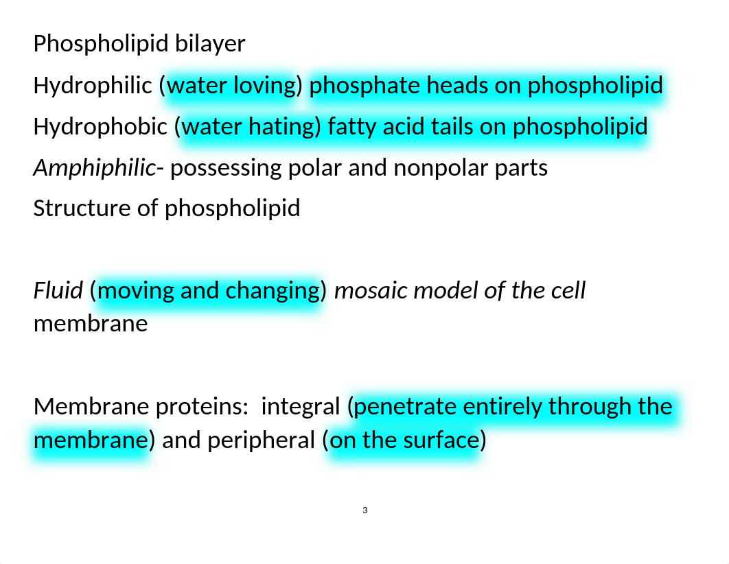 AP1 the Cell Study guide 2017 Draft 2.docx_doztnl44kn8_page3