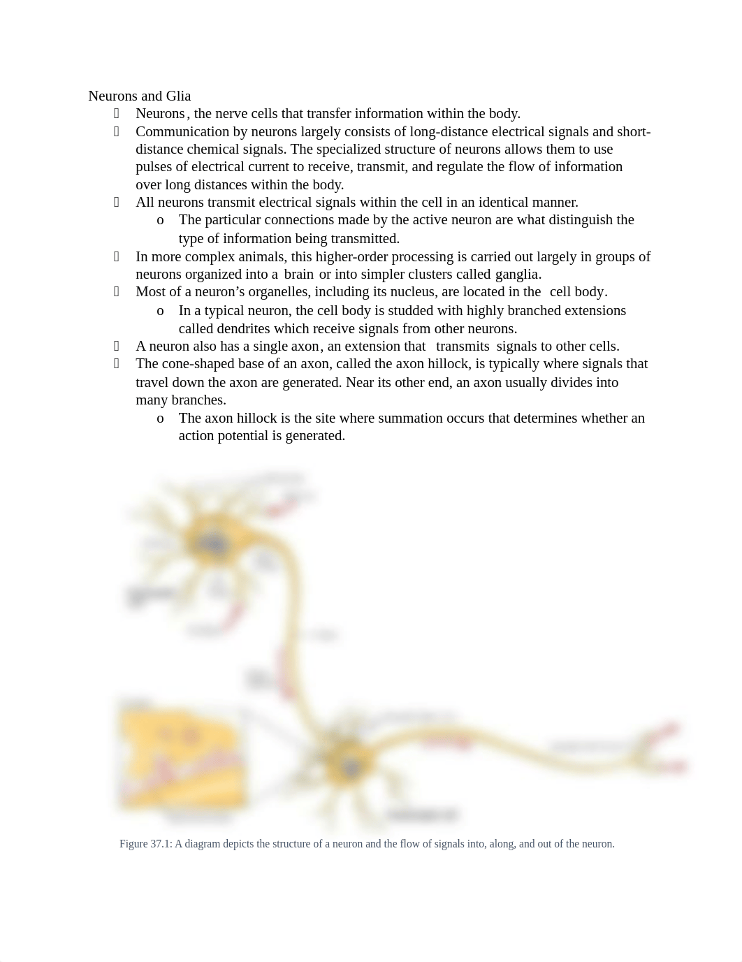 Nervous System.docx_dozzzmawp4j_page1