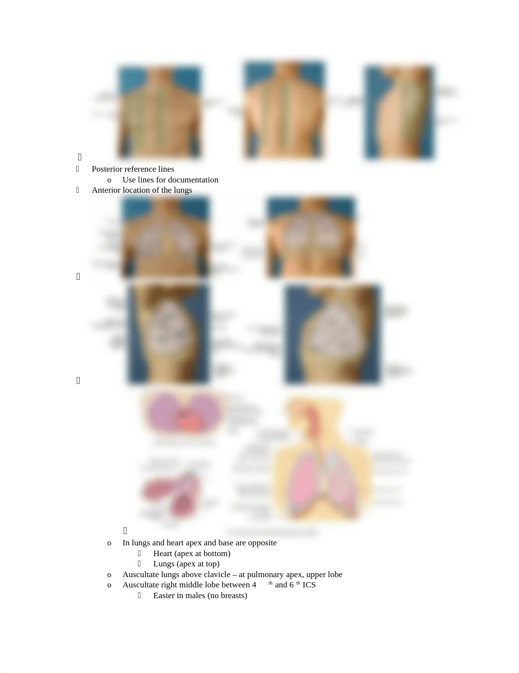 Thorax and Lung Assessment Study Guide[3]_dp05vp7dtbh_page2