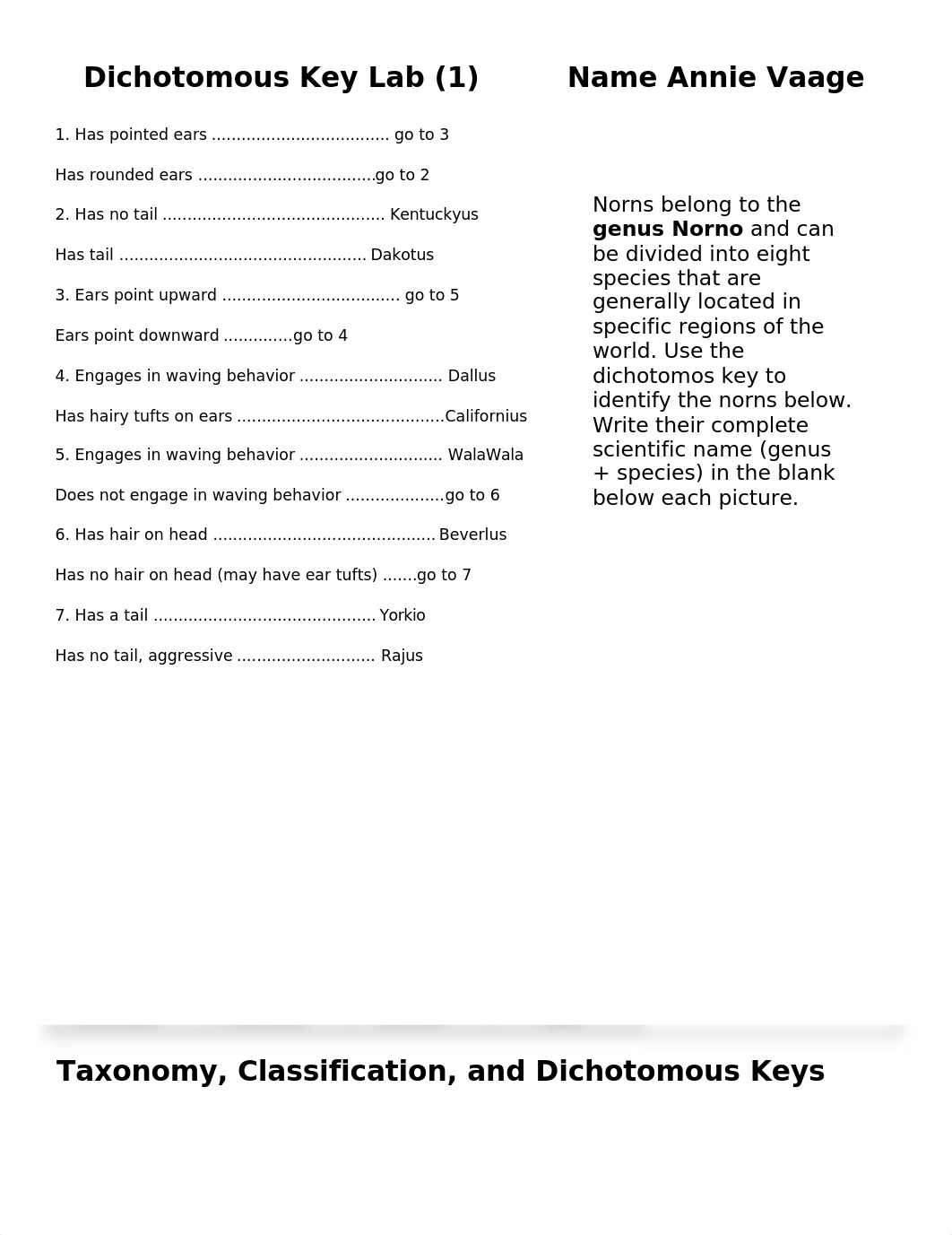 Dichotomous Key (1).doc_dp0dds0t3ze_page1