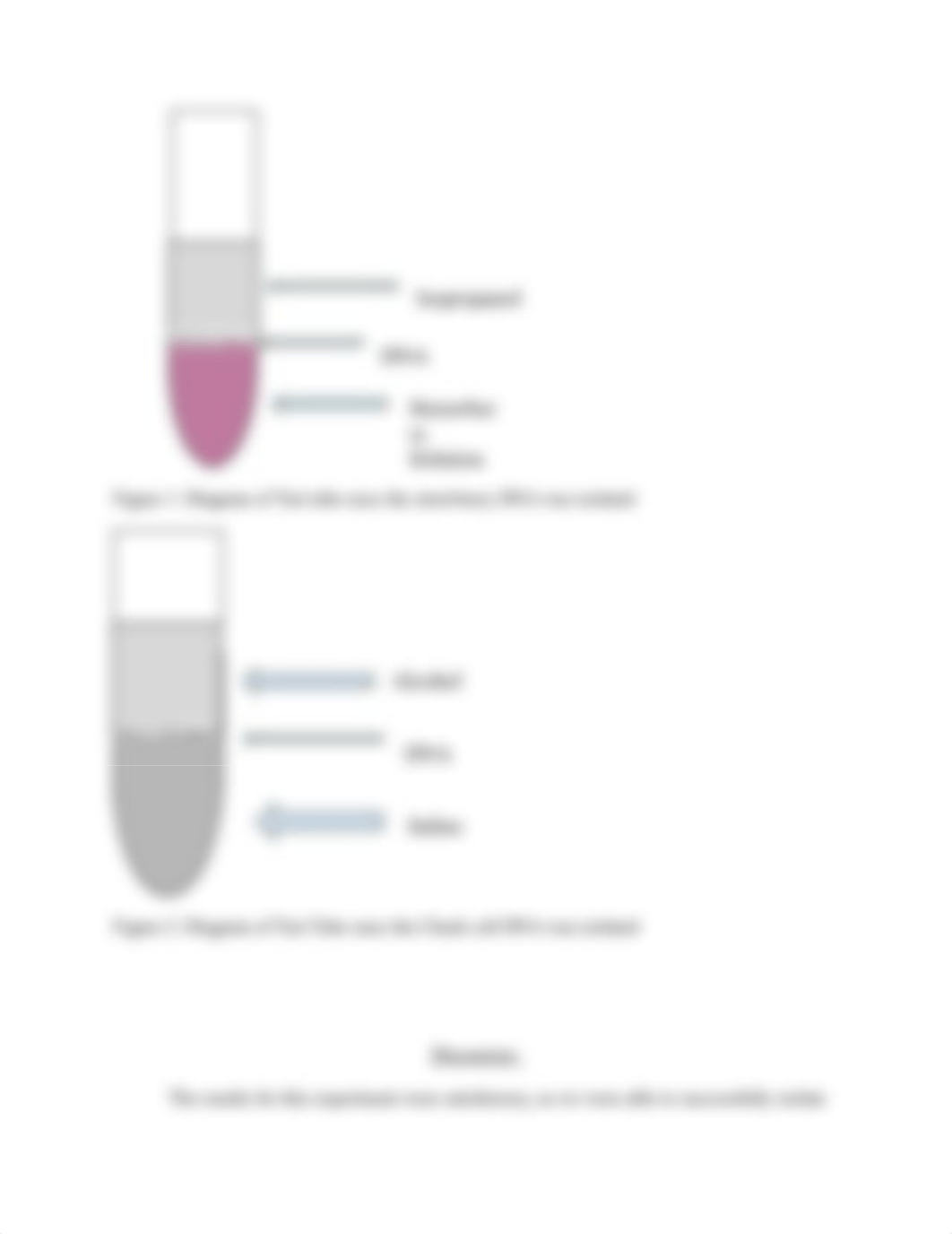 DNA Isolation of Strawberry and Cheek Cells_dp0dtwqojkx_page3