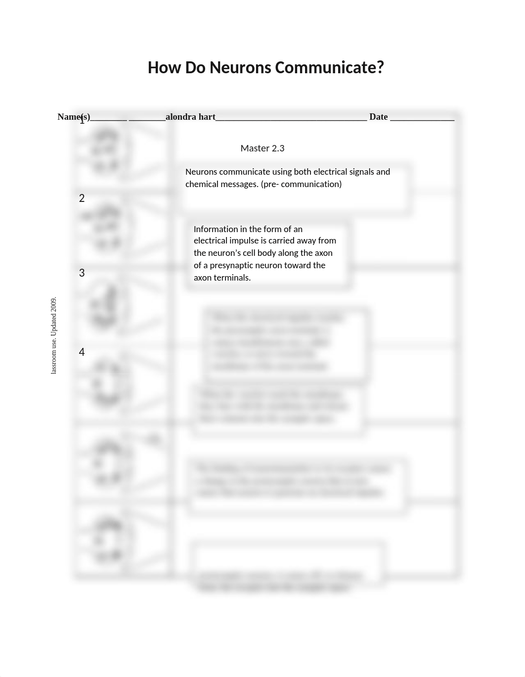 neurons worksheet!.docx_dp0e3szo8jy_page1