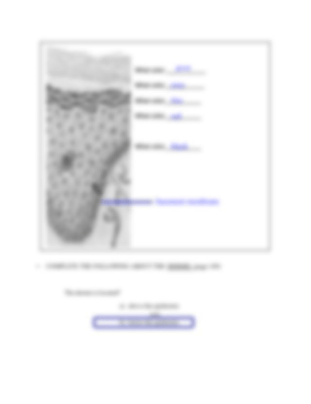 Lab Packet #3.pdf_dp0f1pmbr6b_page3