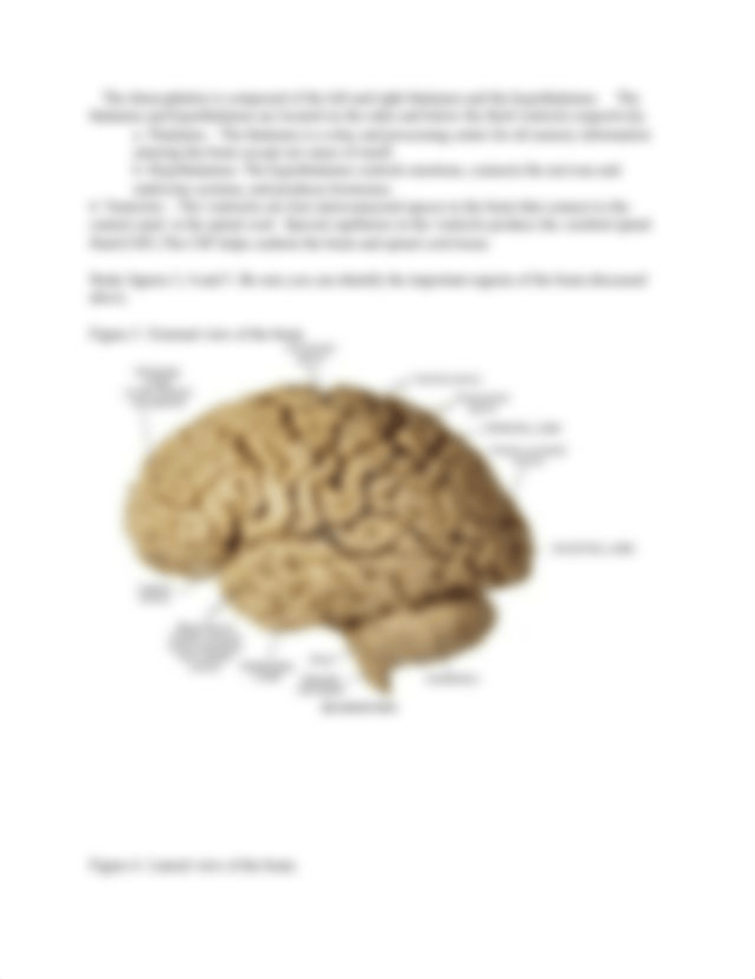 Brockman The nervous system lab_dp0fnr1ma31_page4