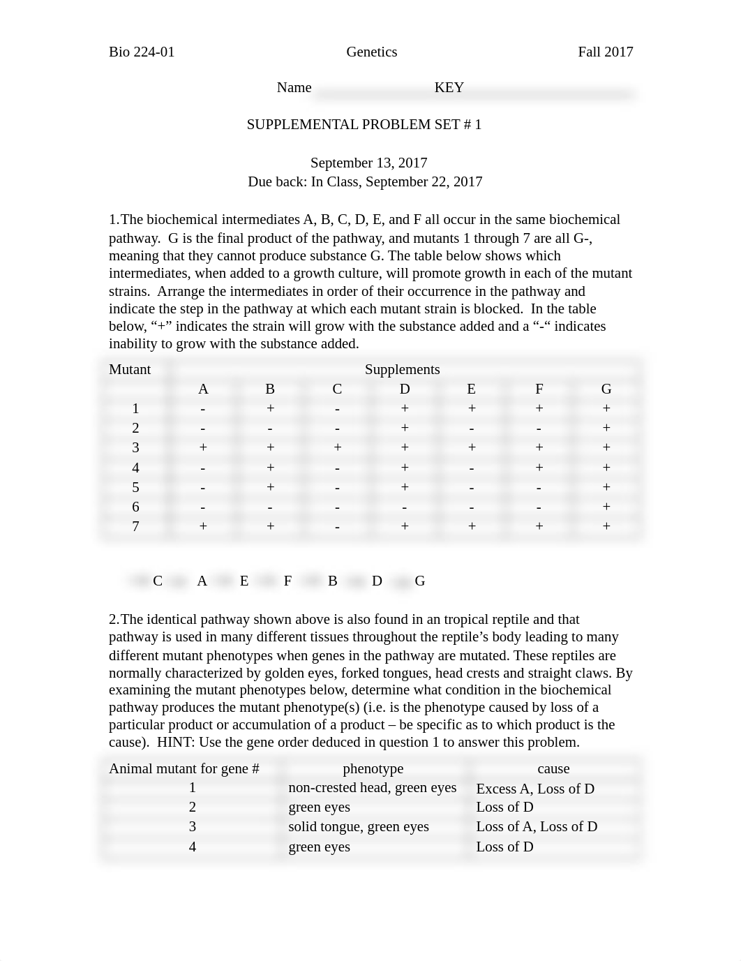 Homework1Key(17).docx_dp0izxlx3qx_page1