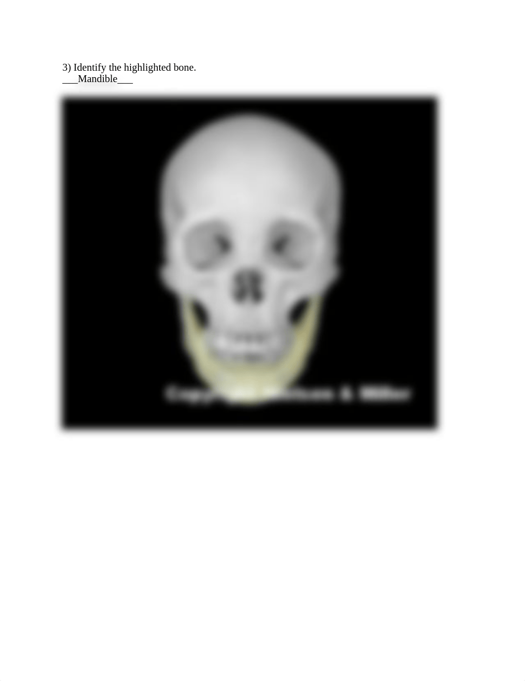 Skull ID Worksheet.docx_dp0nqovmbok_page3