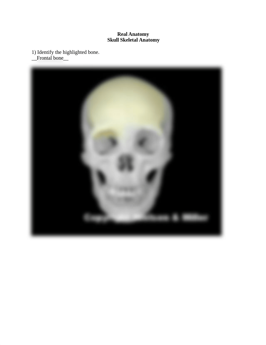 Skull ID Worksheet.docx_dp0nqovmbok_page1