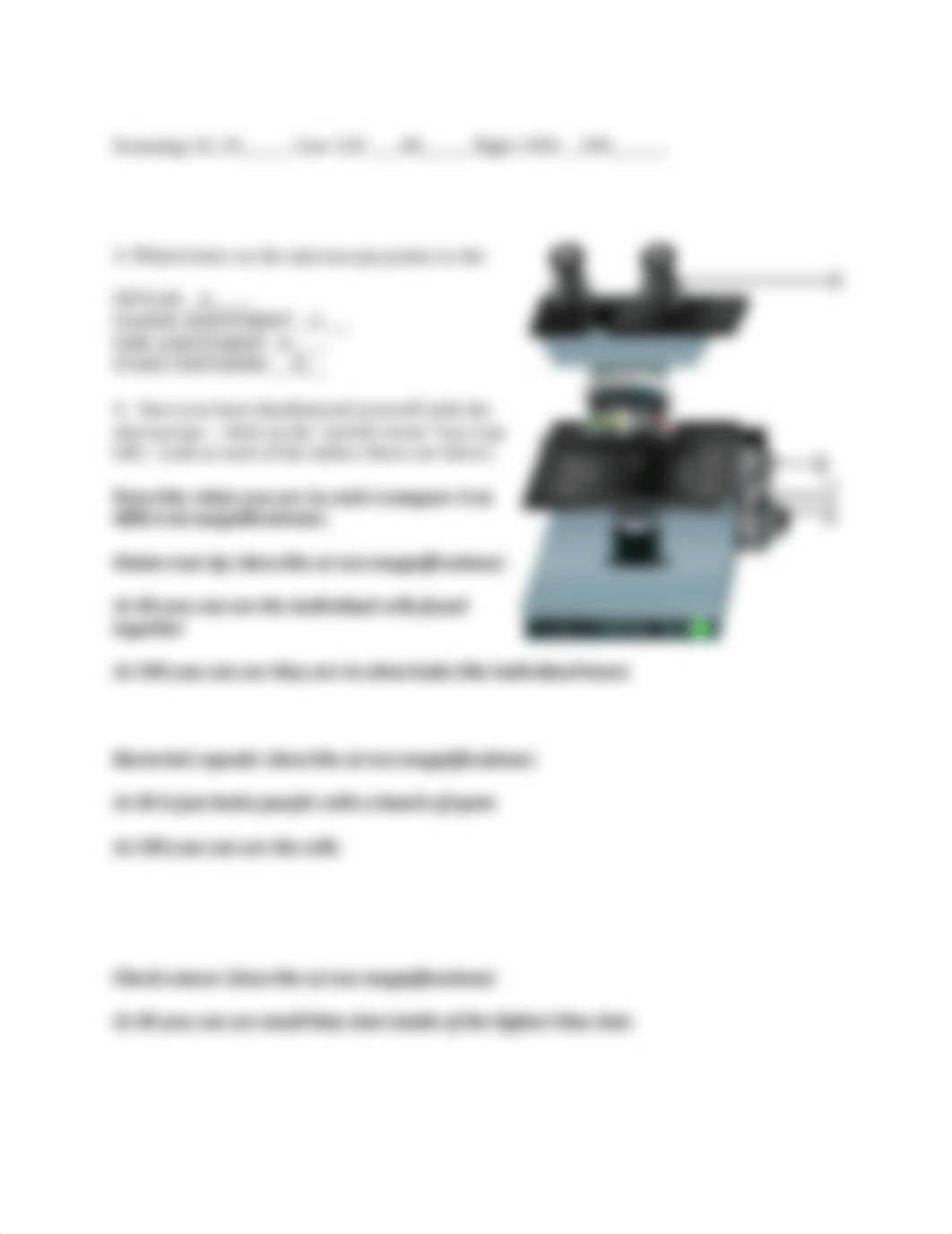 StrotherVirtualMicroscopeWorksheet.docx_dp0wz8l5skc_page2