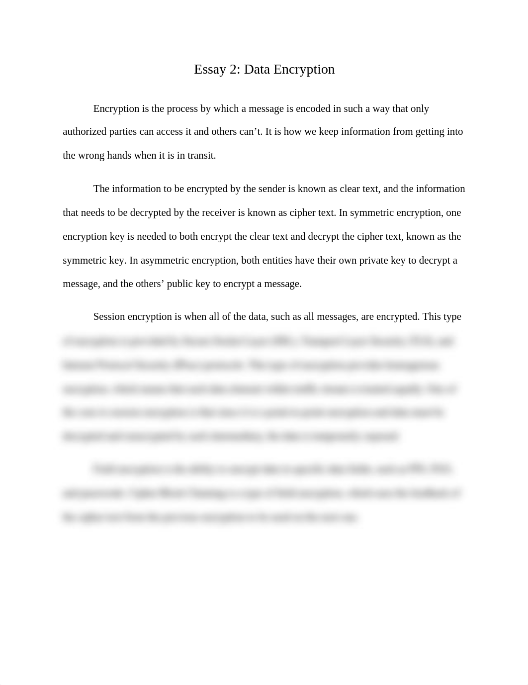 CIS 3362 Essay 2.docx_dp0xhmx74pr_page1