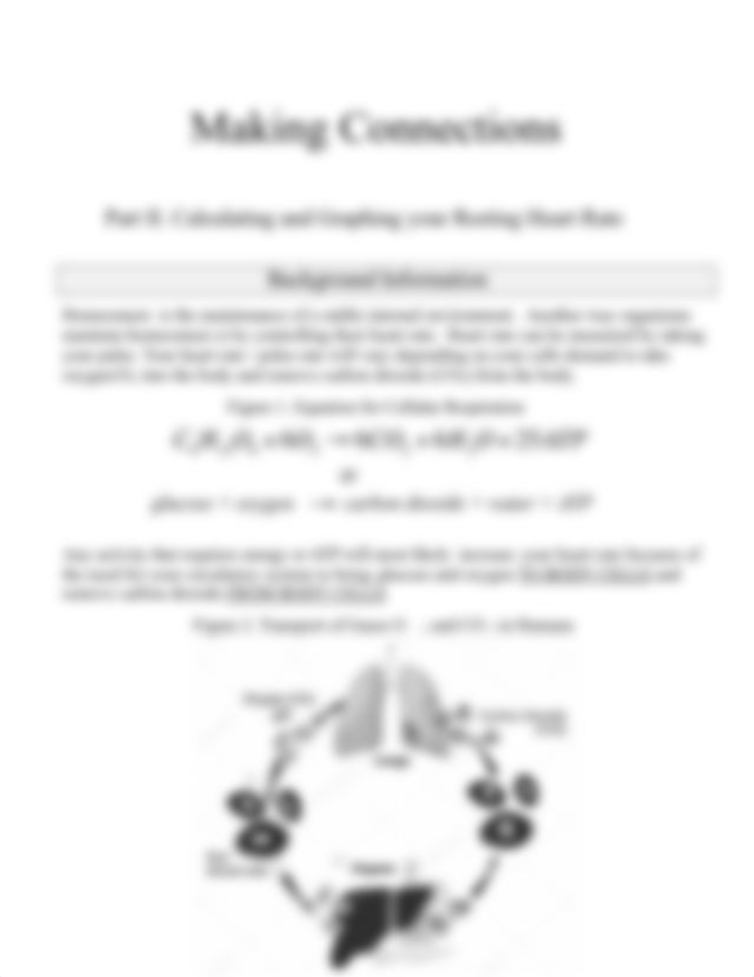 making_connections_2018.doc_dp0xnjokd51_page5