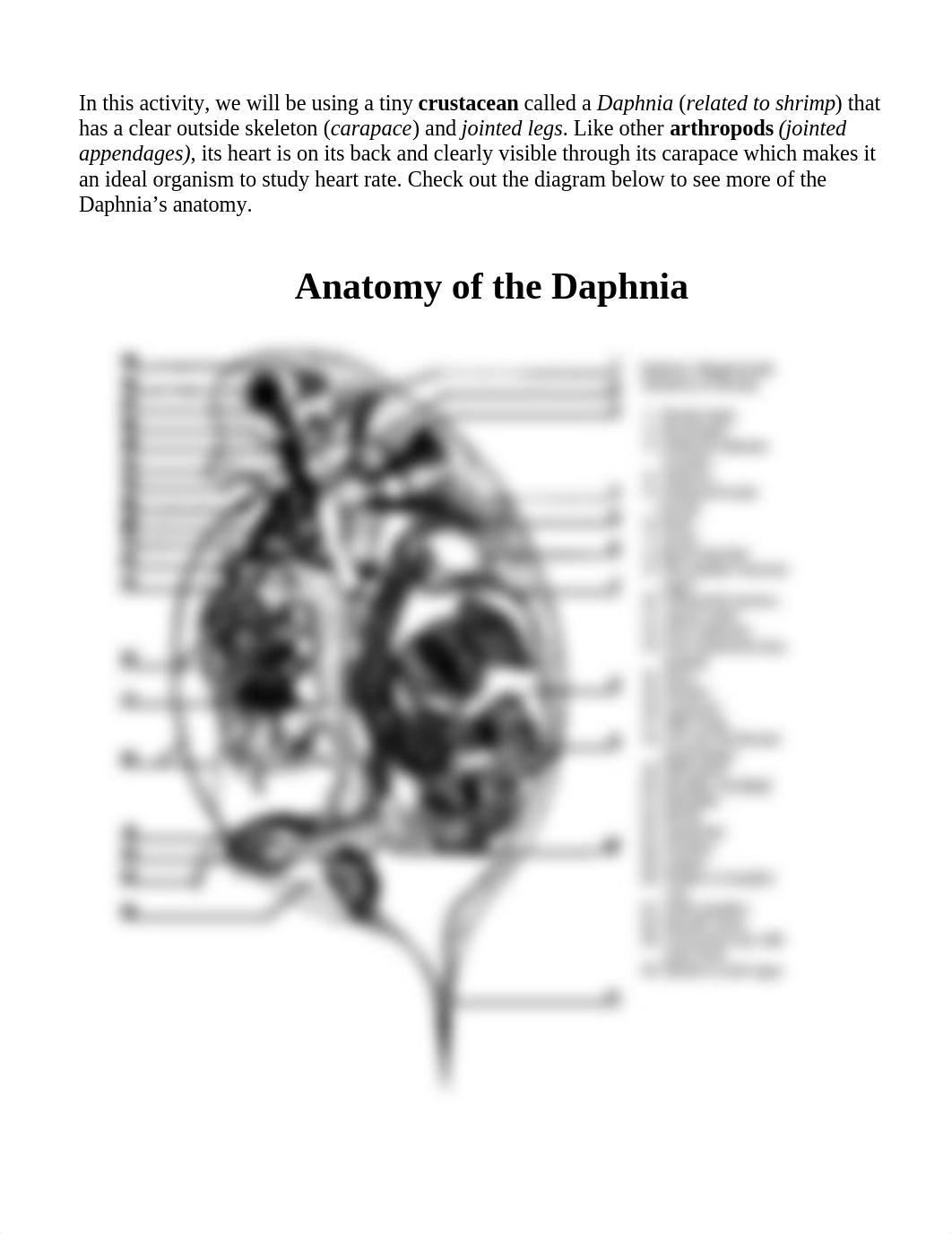 making_connections_2018.doc_dp0xnjokd51_page2