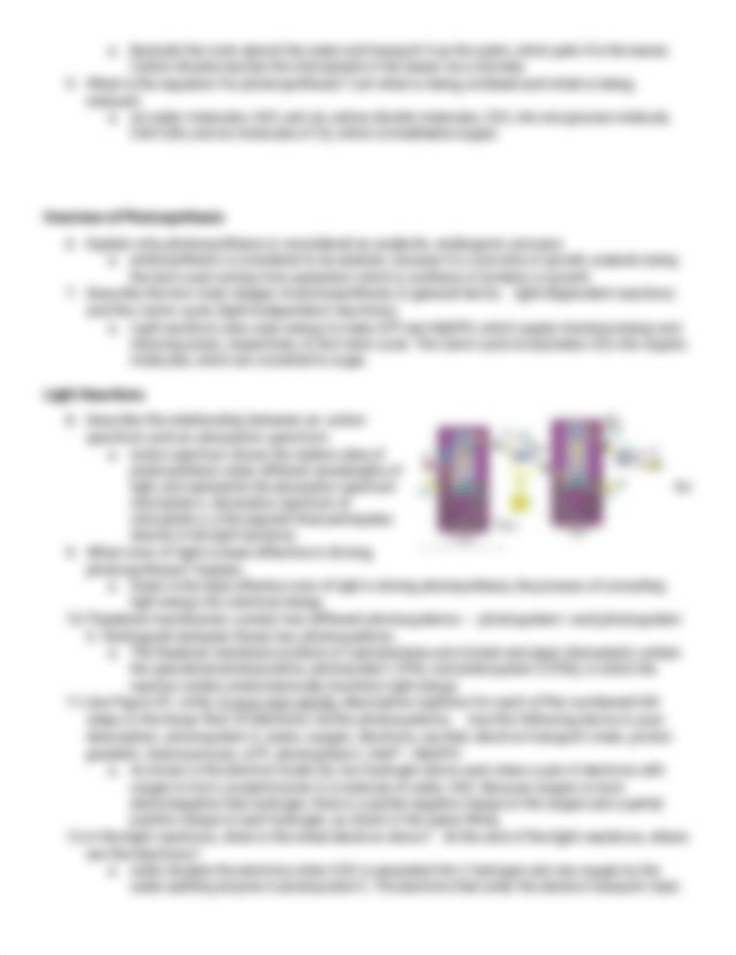 _PHOTOSYNTHESIS WORKSHEET.pdf_dp0y8mp12n9_page2