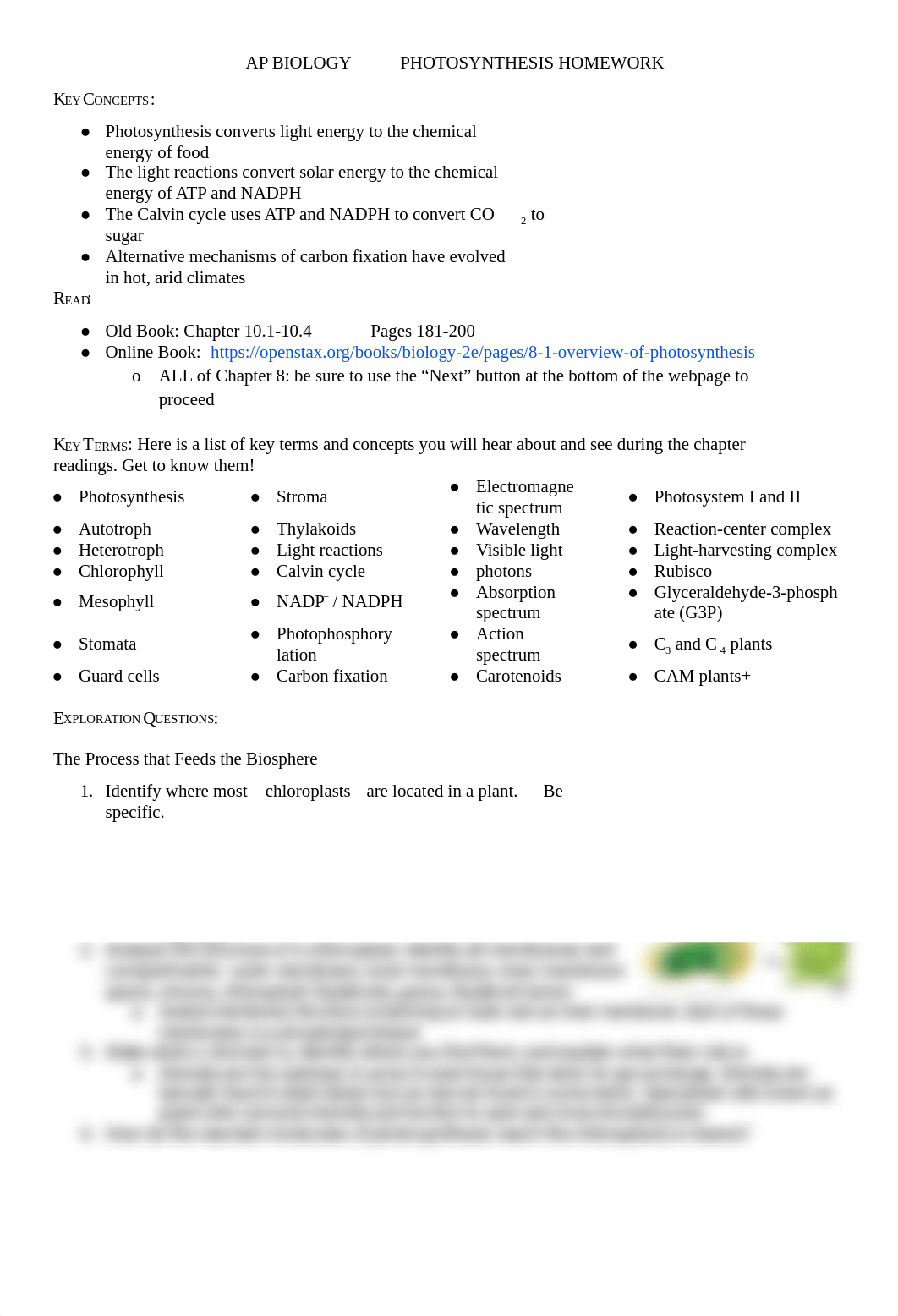 _PHOTOSYNTHESIS WORKSHEET.pdf_dp0y8mp12n9_page1