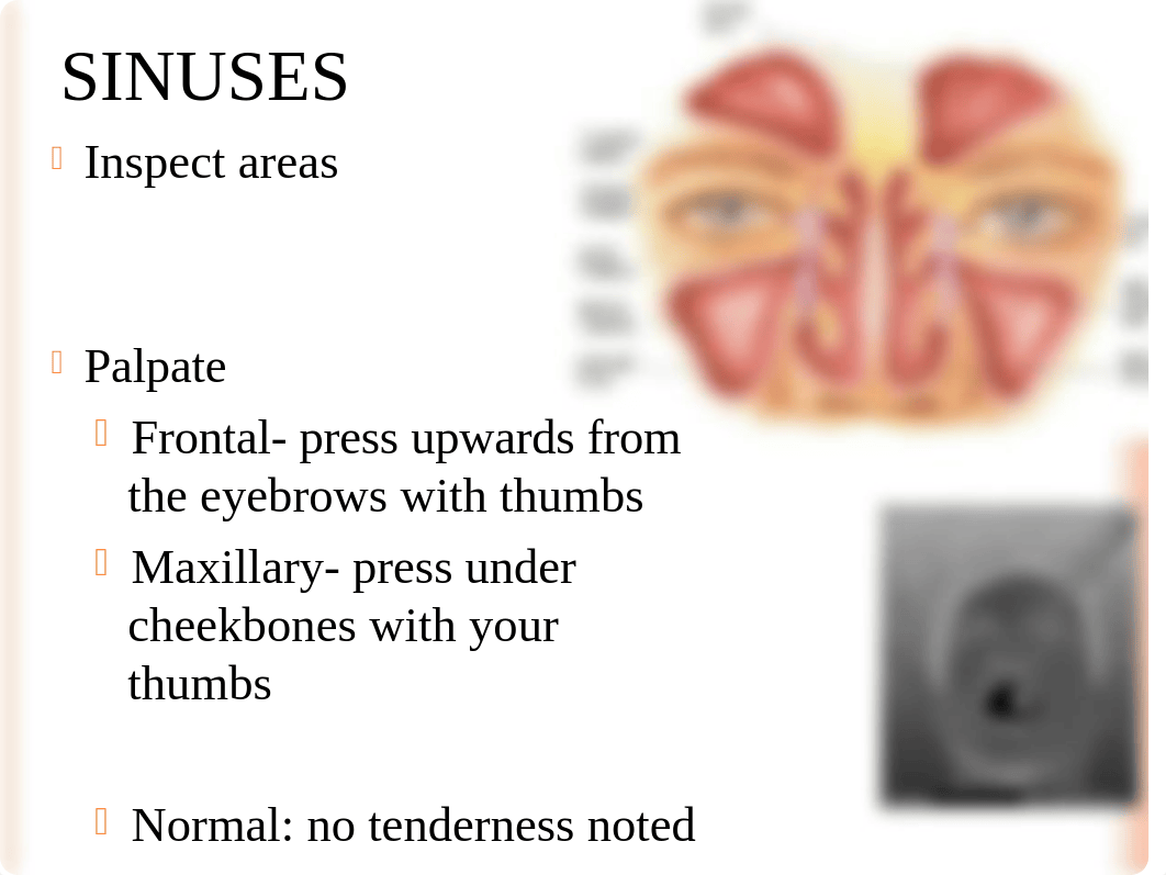 Respiratory & musculoskeletal.ppt_dp10y396rqe_page5