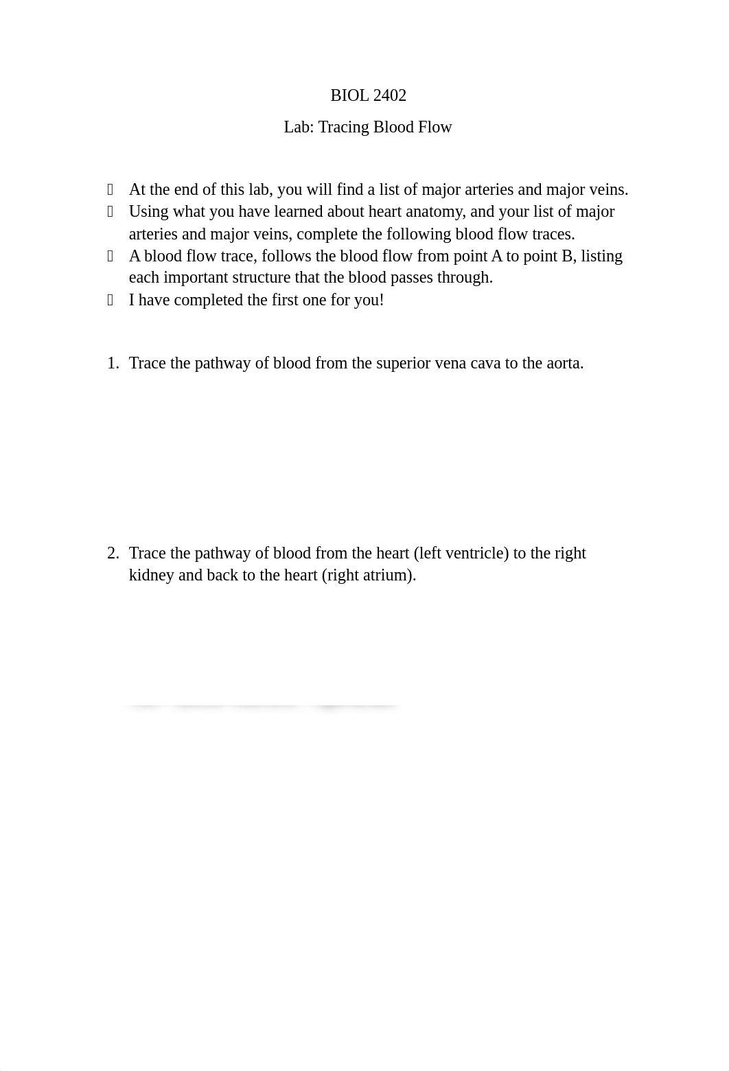 Blood Flow Tracing.docx_dp11afyvs9a_page1