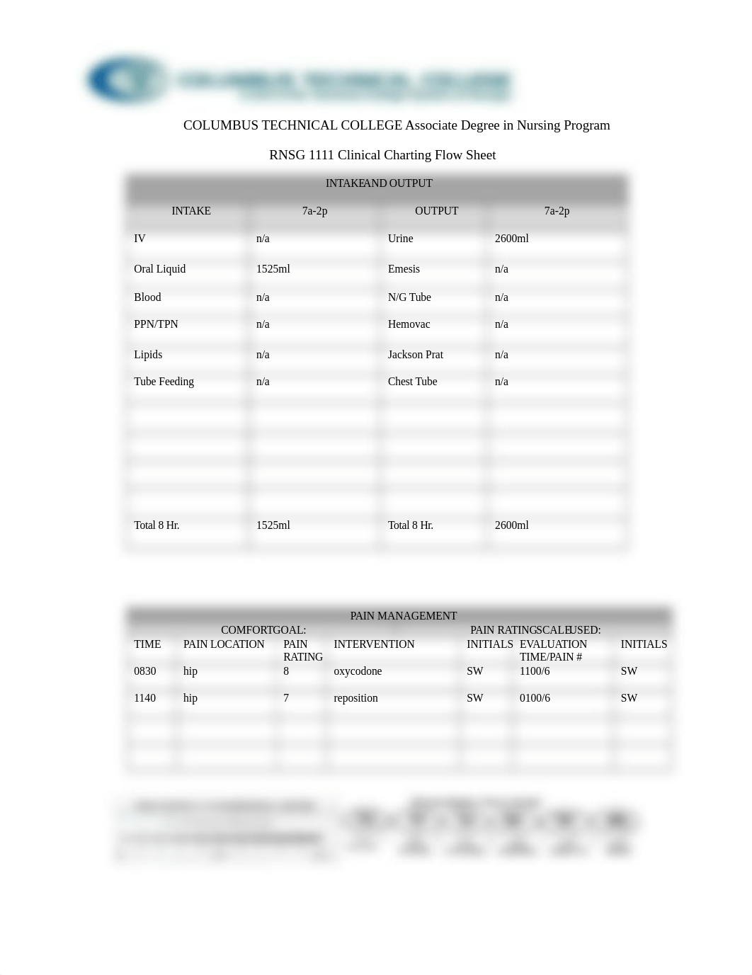 Nursing Notes_dp11myspq7d_page1