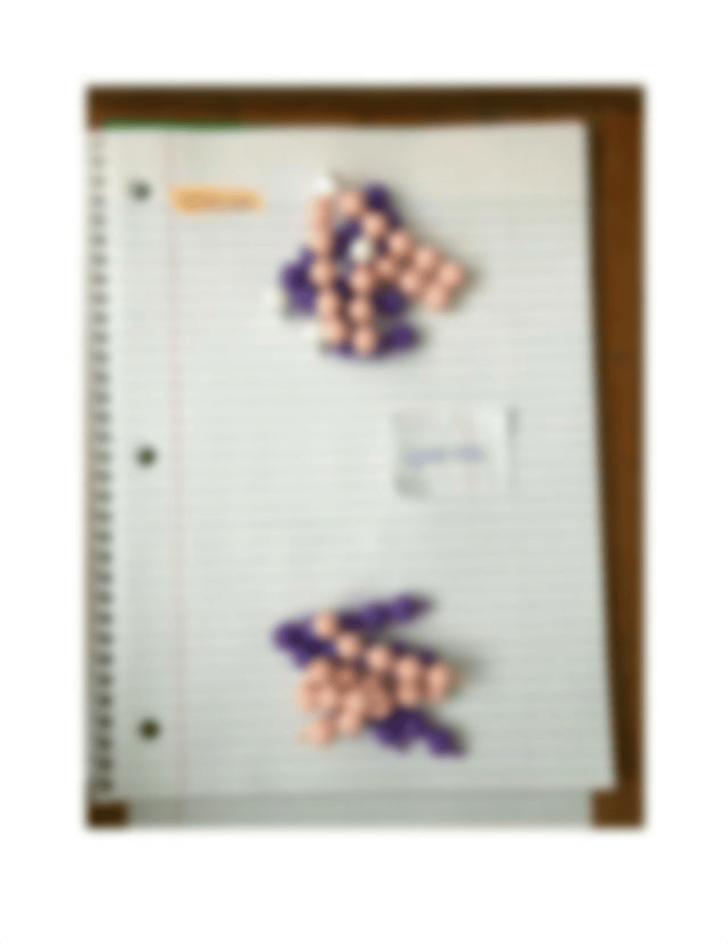 Module 3 Lab - Mitosis & Meiosis.docx_dp12ksqs3n4_page4