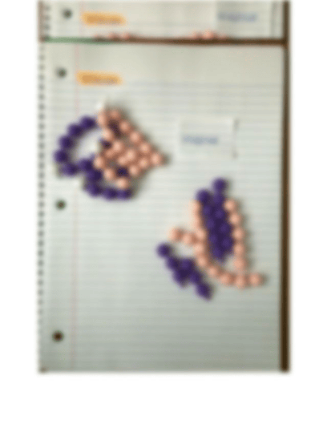 Module 3 Lab - Mitosis & Meiosis.docx_dp12ksqs3n4_page3