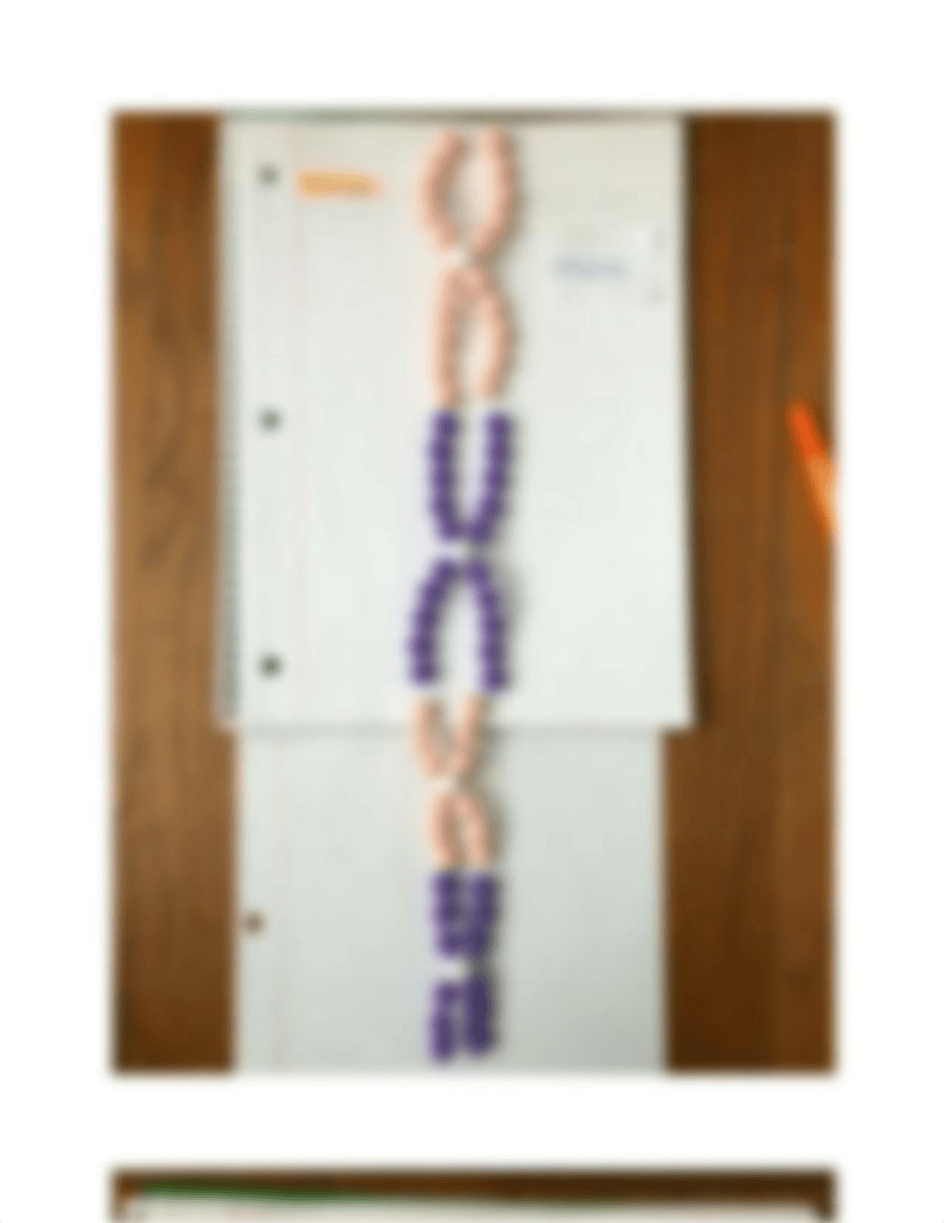 Module 3 Lab - Mitosis & Meiosis.docx_dp12ksqs3n4_page2