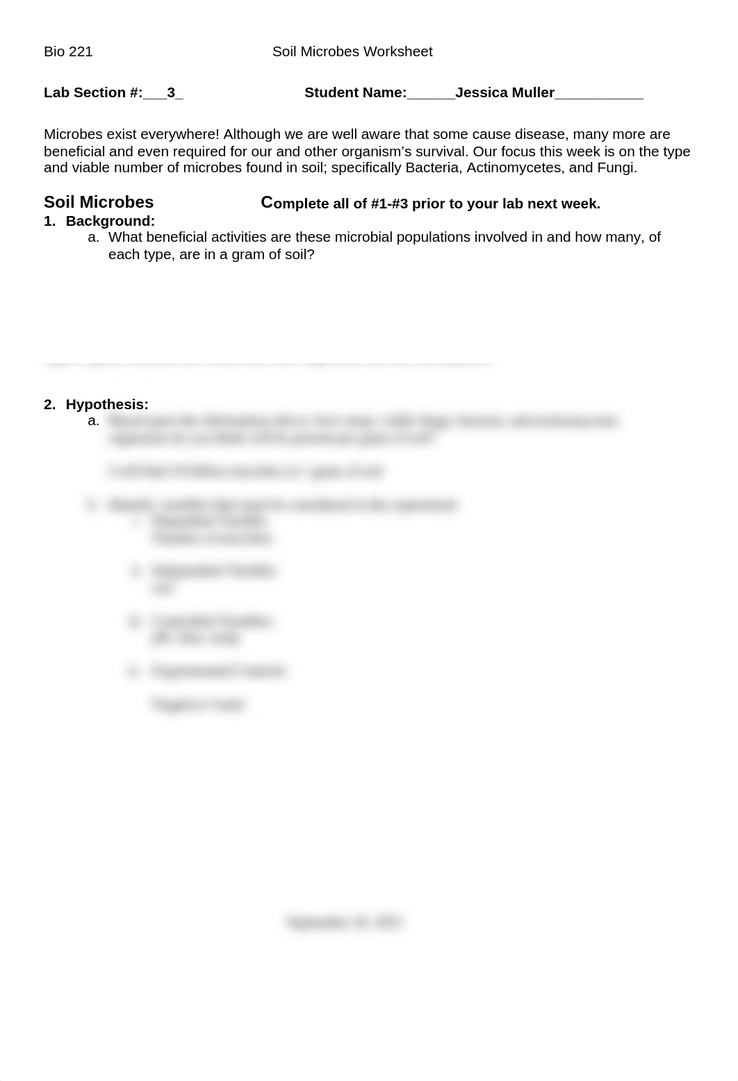 Soil Worksheet .docx_dp13j3nhblv_page1