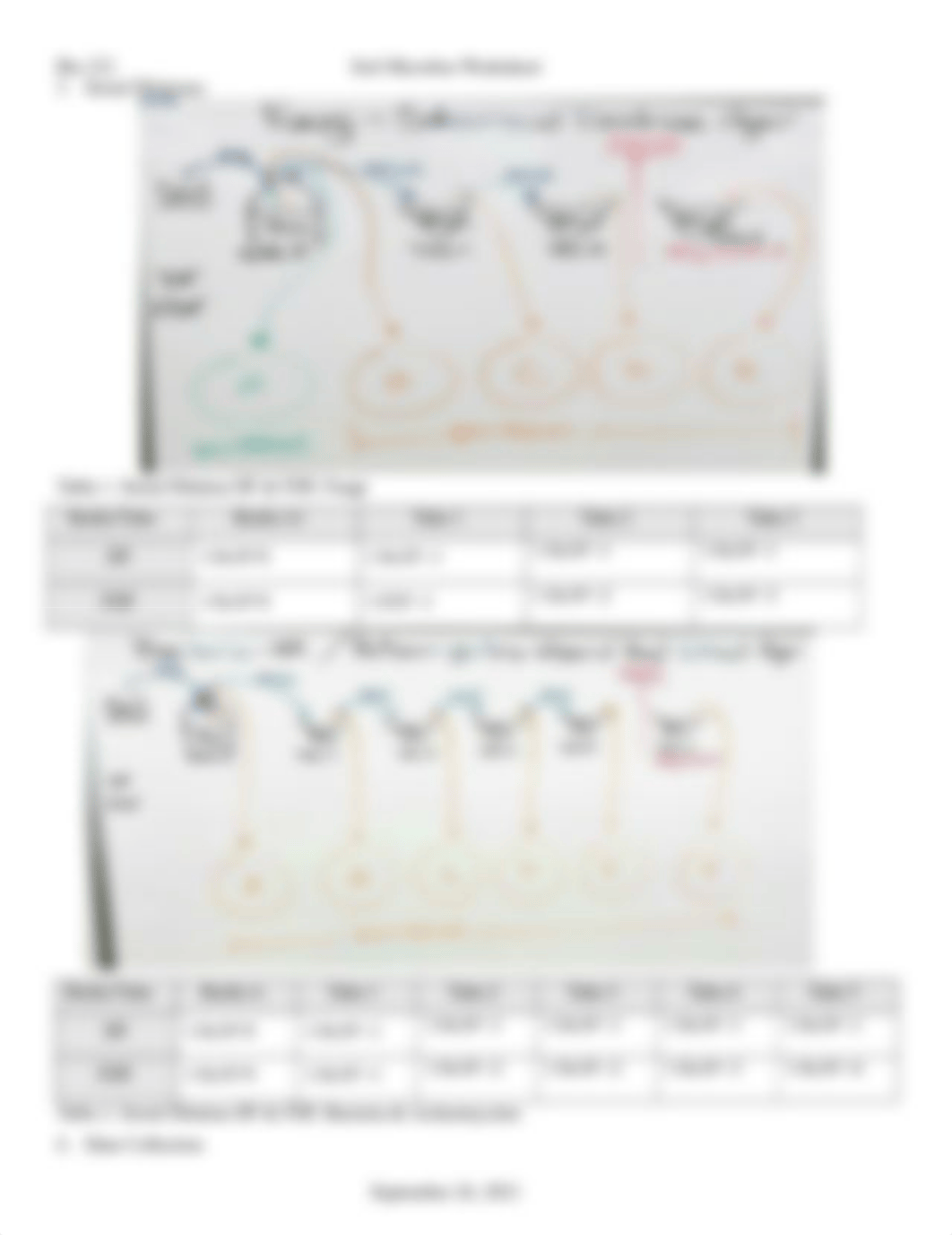 Soil Worksheet .docx_dp13j3nhblv_page2