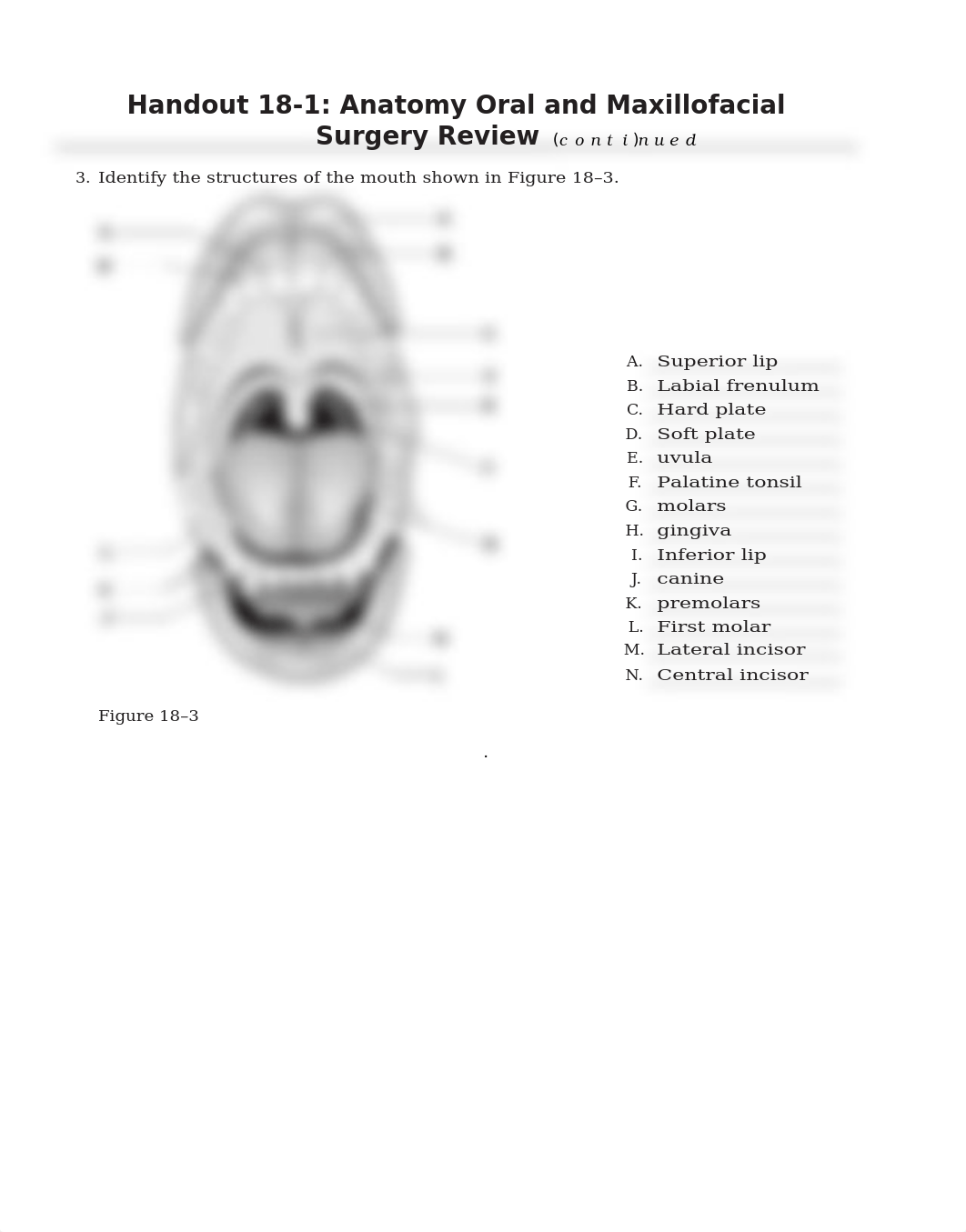 CHAPTER 18 ANATOMY REVIEW (2).docx_dp14hhwgfjt_page3