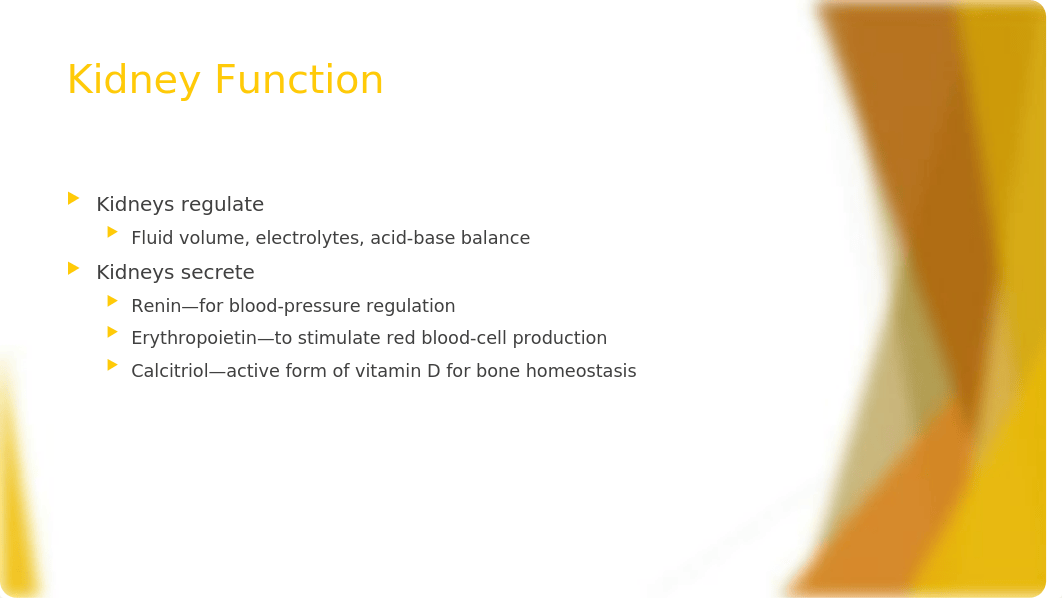 Urinary Disorders.pptx_dp17ack367s_page2