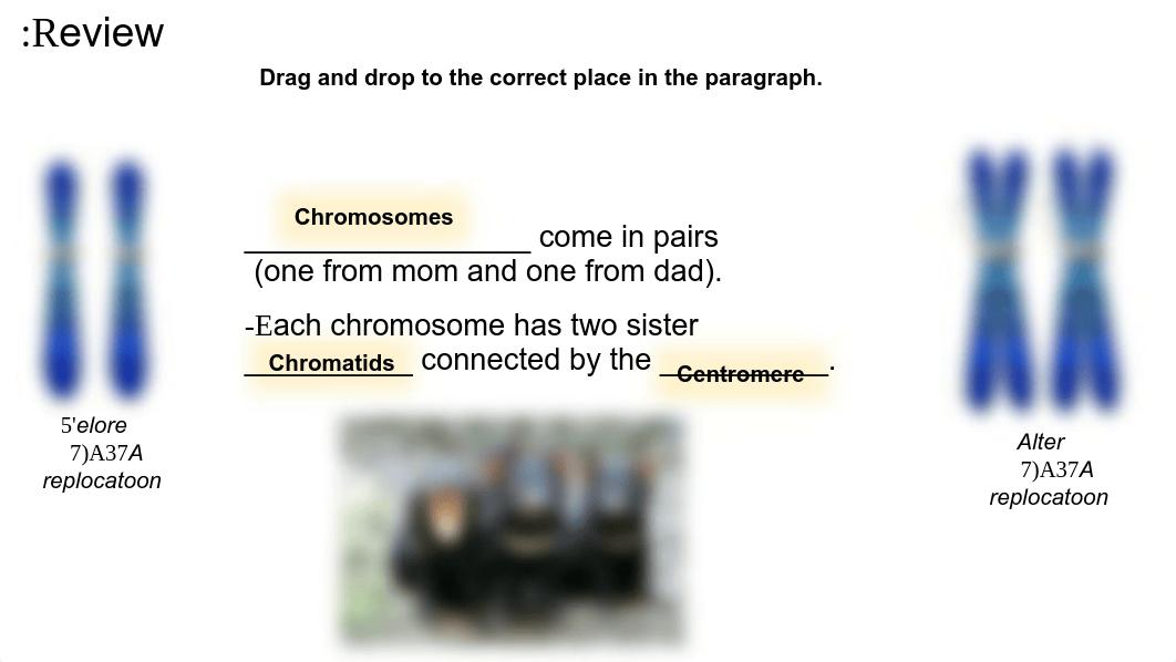 ABALOS AIDEN - #2.7 - Tasmanian Devil  Karyotype.pdf_dp1d705ex85_page2