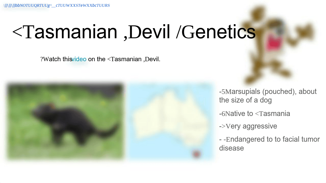 ABALOS AIDEN - #2.7 - Tasmanian Devil  Karyotype.pdf_dp1d705ex85_page1