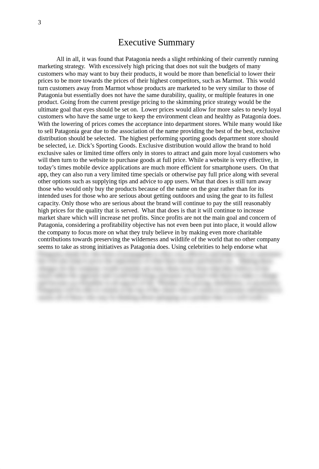 Patagonia Report.docx_dp1j9poulyl_page3