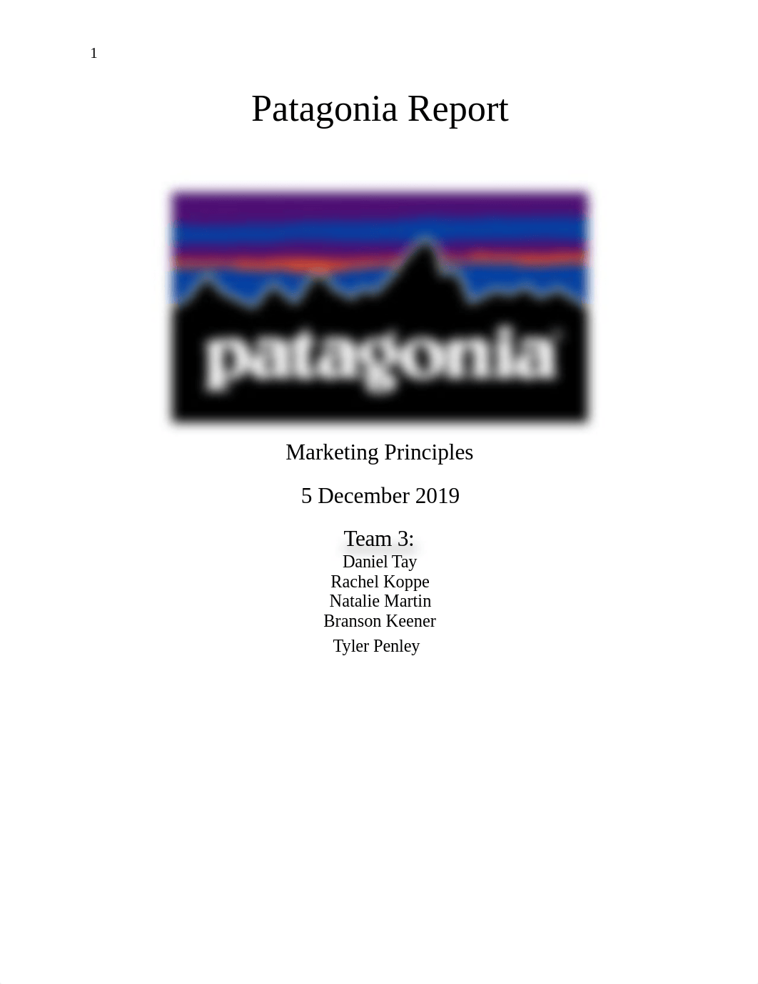 Patagonia Report.docx_dp1j9poulyl_page1