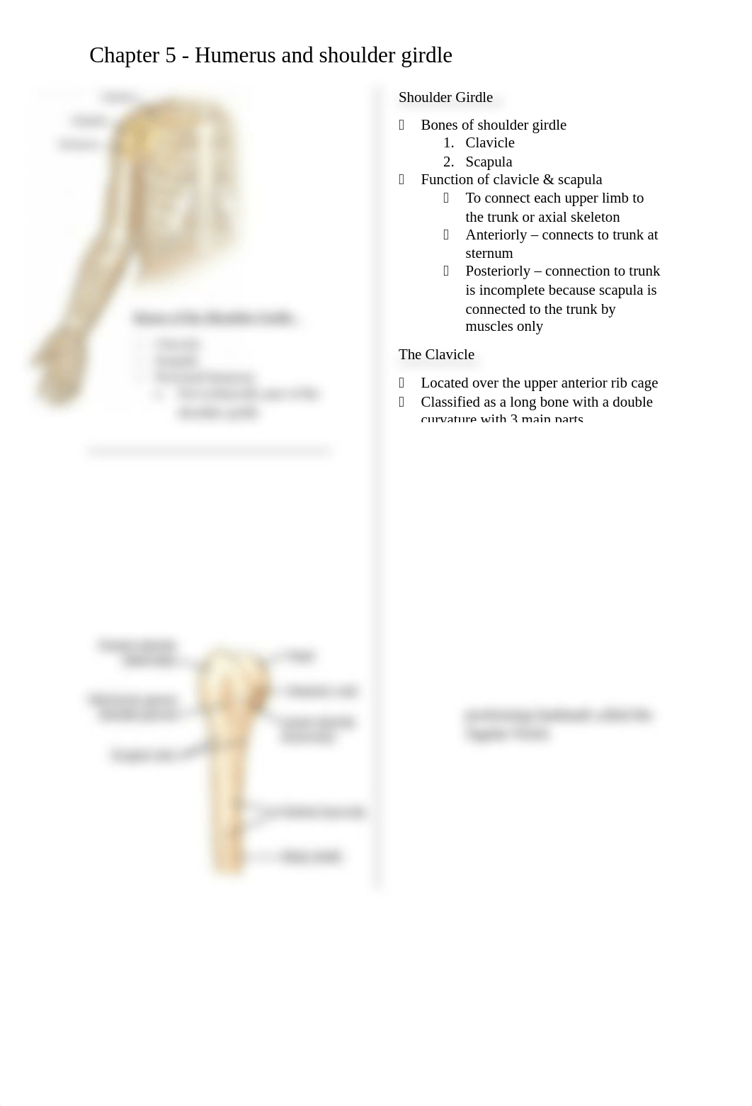 CH 5 - Humerus and Shoulder Girdle.docx_dp1kjlpkoou_page1