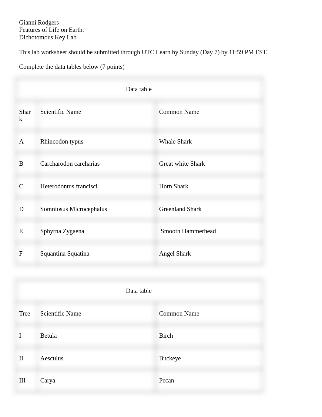 Dichotomous Key Lab Worksheet.docx_dp1lqp1h8ps_page1