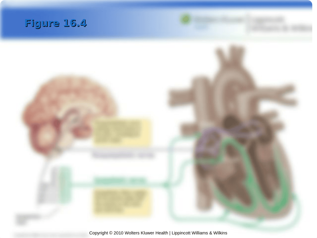 chapter 16.ppt_dp1mx1vpfbi_page5