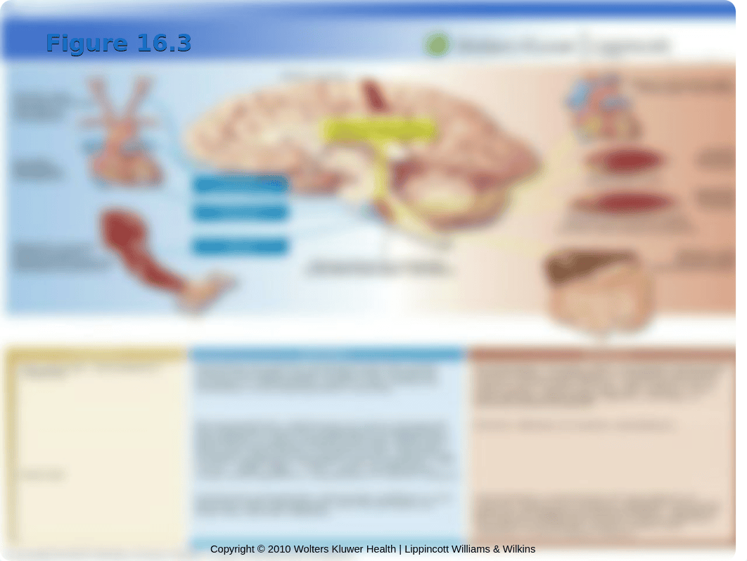 chapter 16.ppt_dp1mx1vpfbi_page4