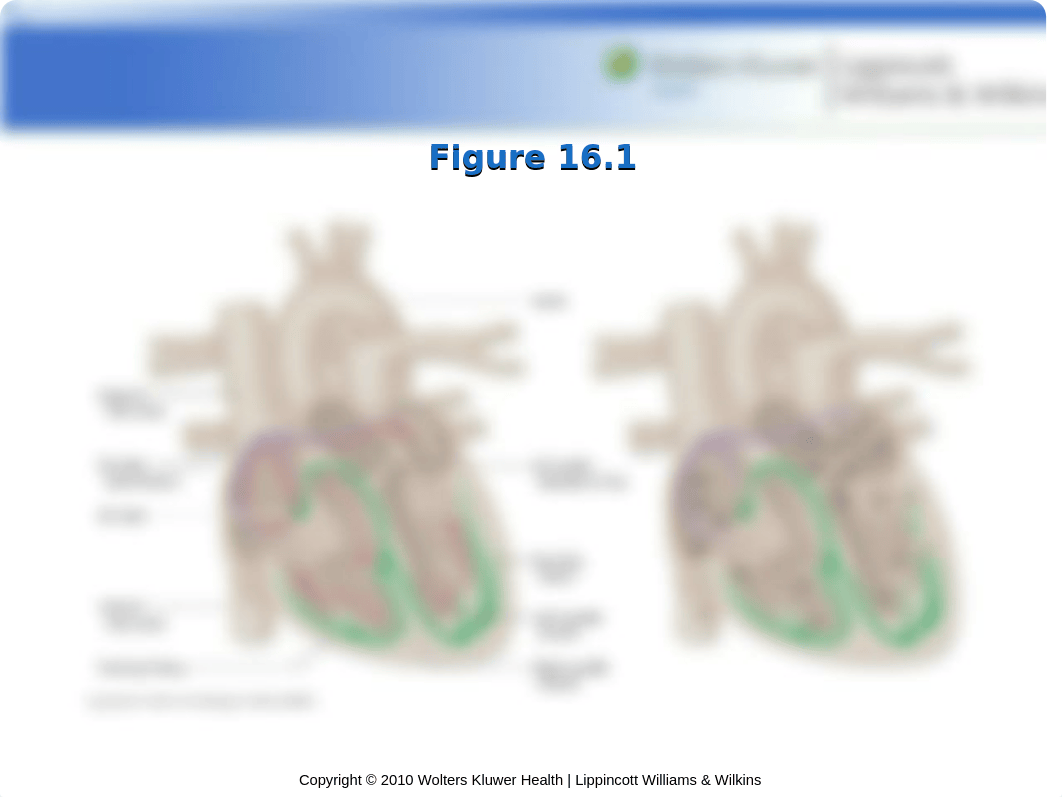 chapter 16.ppt_dp1mx1vpfbi_page2