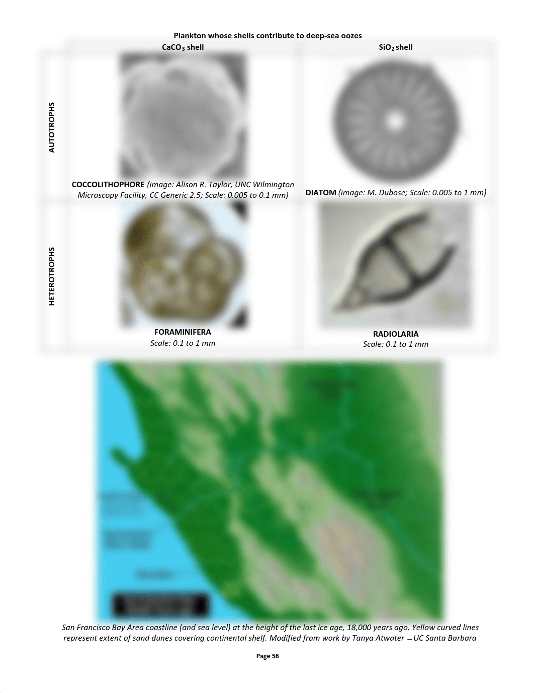 GOL 111 Ch 4 Workbook- Seafloor sediments-1-1.pdf_dp1ph9fu1ya_page3