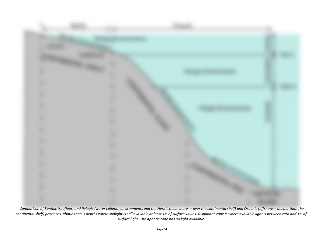 GOL 111 Ch 4 Workbook- Seafloor sediments-1-1.pdf_dp1ph9fu1ya_page1