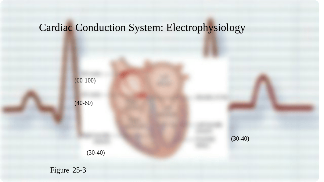 NUR 114 Dysrhythmias student copy.pptx_dp1ri5nd9po_page4