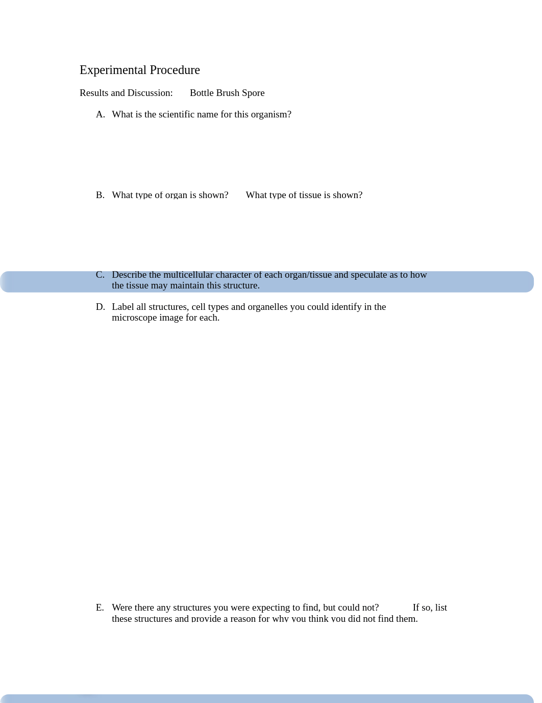 Lab3_ObservationPlantCells_answerkey 2.pdf_dp1vd0r5b09_page3