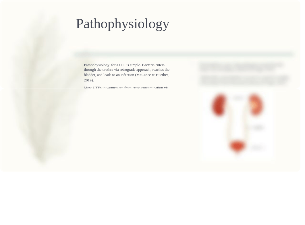 UTI & Pyelonephritis.pptx_dp24vt8an9l_page3