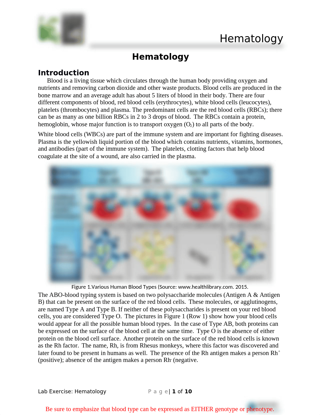 13i-Hematology.docx_dp2611zdwvr_page1