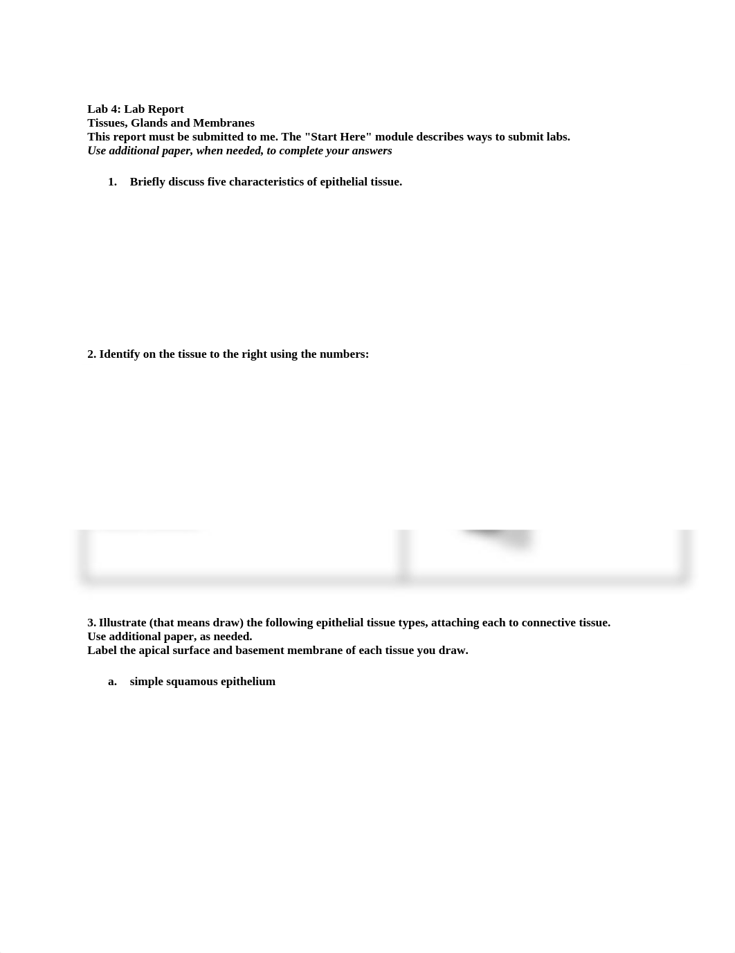 Lab 4.docx_dp297pggeij_page1